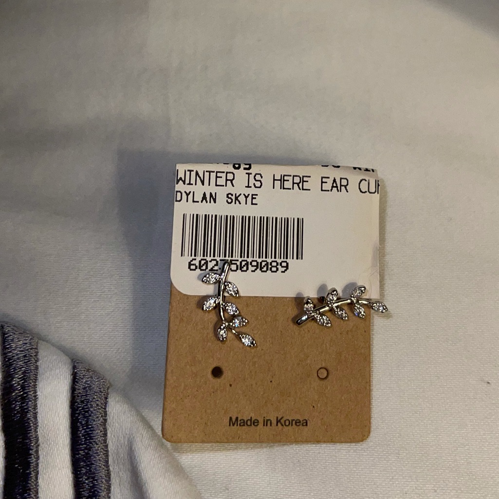 Silver Stud Earring